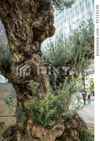 Ginza Sony Park Ginza Sony Park 45318246