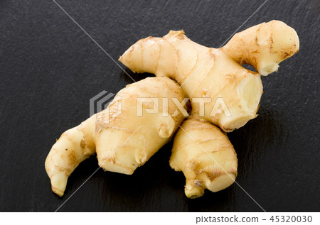 ginger ginger 45320030