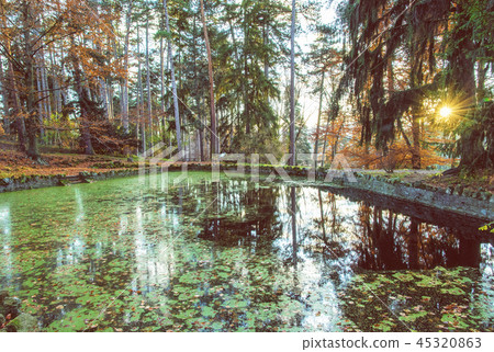Natural park with lake and trees in Topolcianky Natural park with lake and trees in Topolcianky 45320863