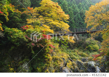 Hatonosu Valley 45321142