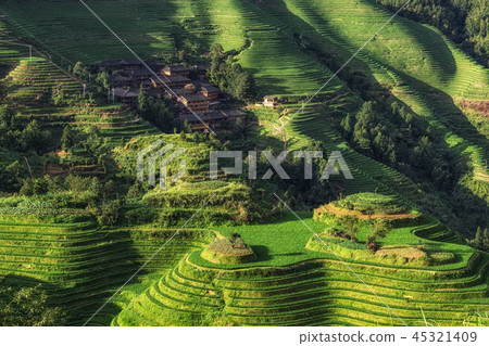 Longi rice terrace 45321409