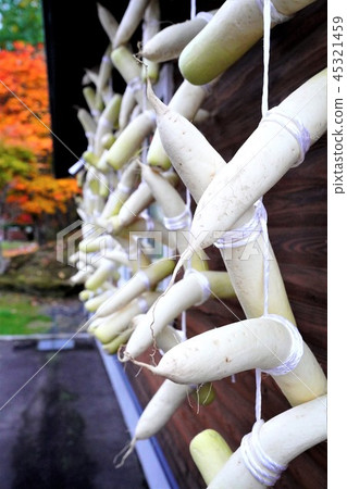 Dried radish hung at the end of the eaves 45321459