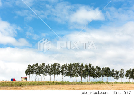 Hokkaido Biei · Summer scenery Hokkaido Biei · Summer scenery 45321537