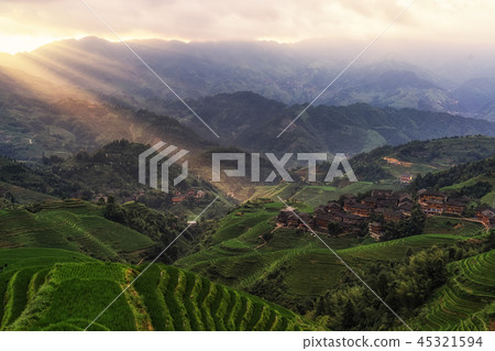 longji rice terrace 45321594