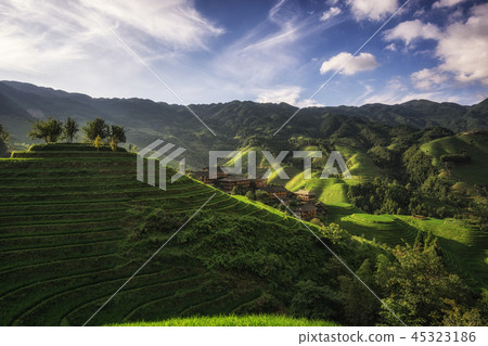 Longi rice terrace Longi rice terrace 45323186
