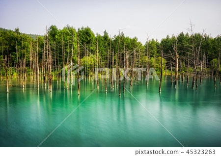 Blue pond Blue pond 45323263