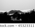Fog and mountains black and white pictures 45323311