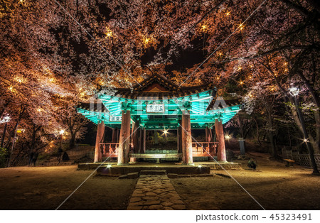 korean pagoda among cherry blossoms. korean pagoda among cherry blossoms. 45323491