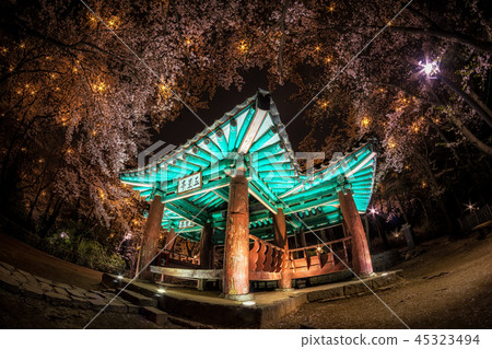 korean pagoda among cherry blossoms. 45323494