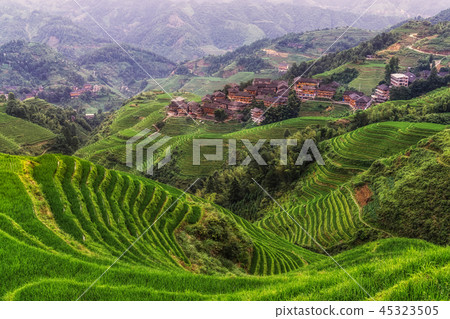 longji rice terrace longji rice terrace 45323505