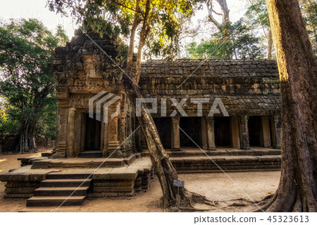 Ta Prohm Ta Prohm 45323613