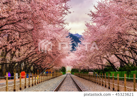 Gyeonghwa station Gyeonghwa station 45323621