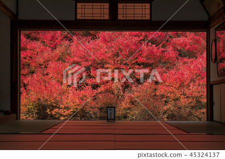 Autumn leaves of Angukuji Temple Autumn leaves of Angukuji Temple 45324137