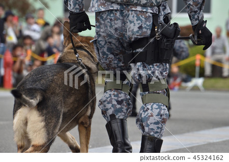 自衛隊和安全犬 自衛隊和安全犬 45324162