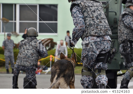 自衛隊和安全犬 自衛隊和安全犬 45324163