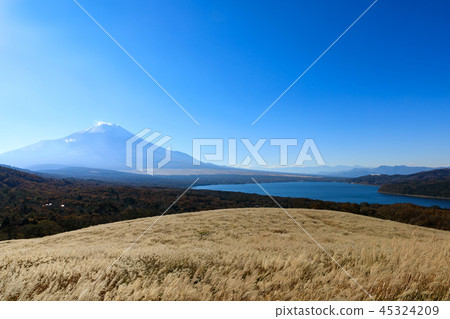 （山梨縣景觀）薄野原，富士山和山中湖4 45324209