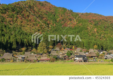 Miyama Kabuki no Sato Autumn 45324303