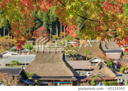 Miyama Kabuki no Sato Autumn Miyama Kabuki no Sato Autumn 45324305