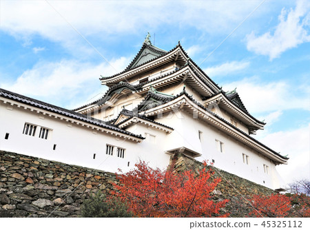 Wakayama castle in autumn Wakayama castle in autumn 45325112