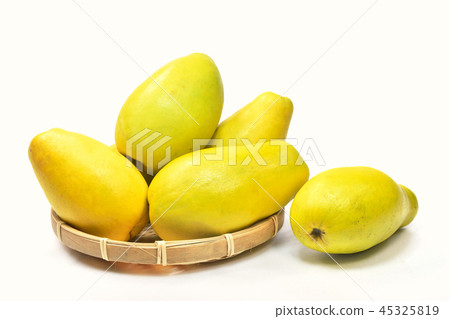 Karin on white background 45325819