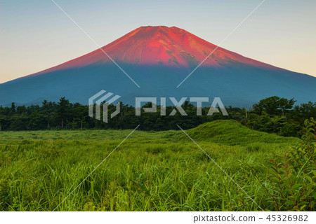 Red Fuji Red Fuji 45326982
