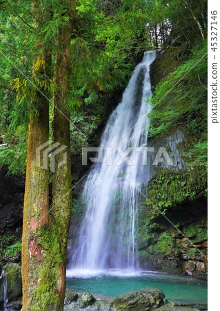 A waterfall of Tokushima (Ikuya region, Tokushima) 45327146