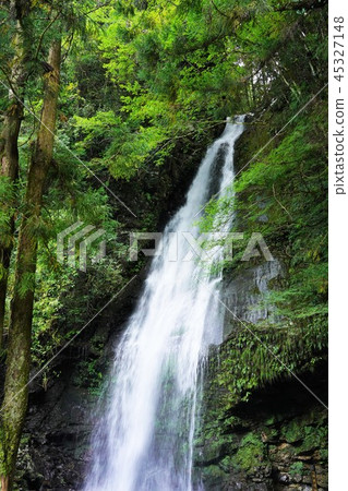 德島的瀑布(Ikuya地區,德島) 德島的瀑布(Ikuya地區,德島) 45327148