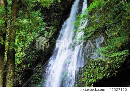 A waterfall of Tokushima (Ikuya region, Tokushima) 45327150