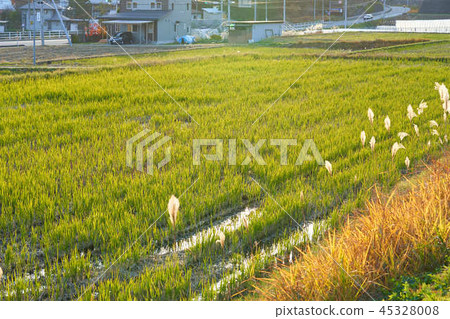 國家觀點 國家觀點 45328008