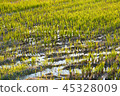 Country view 45328009