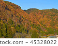 Mountains of autumn leaves 45328022