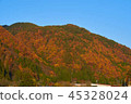 Mountains of autumn leaves 45328024
