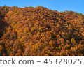 Mountains of autumn leaves 45328025