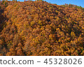 Mountains of autumn leaves 45328026