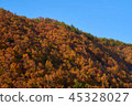 Mountains of autumn leaves 45328027