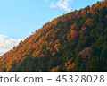 Mountains of autumn leaves 45328028