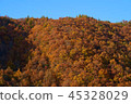 Mountains of autumn leaves 45328029