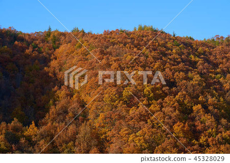 Mountains of autumn leaves Mountains of autumn leaves 45328029