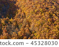Mountains of autumn leaves 45328030