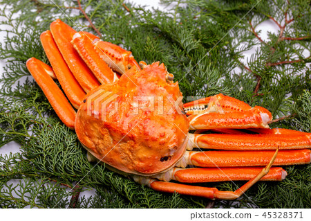 雪蟹成分 45328371