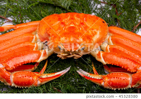 Snow crab ingredients Snow crab ingredients 45328380