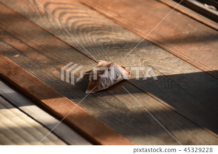 Fallen leaf on the rim side 45329228