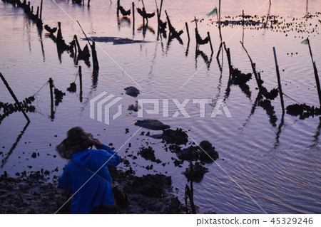 海濱般的Shibata Yu Yutaka Hajime Rei。 45329246