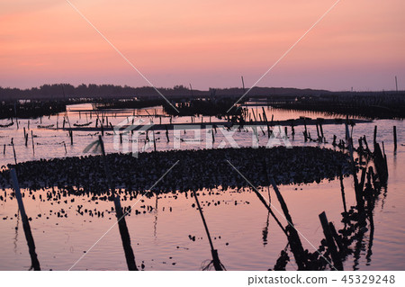 海濱般的Shibata Yu Yutaka Hajime Rei。 45329248
