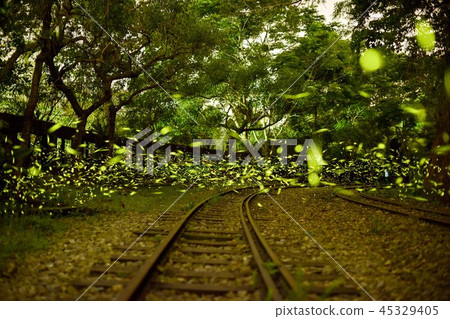 In the forest, there is no fire, no heat, no heat, and no heat. In the forest, there is no fire, no heat, no heat, and no heat. 45329405