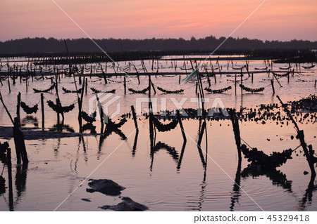 海濱般的Shibata Yu Yutaka Hajime Rei。 海濱般的Shibata Yu Yutaka Hajime Rei。 45329418