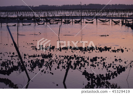 海濱般的Shibata Yu Yutaka Hajime Rei。 海濱般的Shibata Yu Yutaka Hajime Rei。 45329419