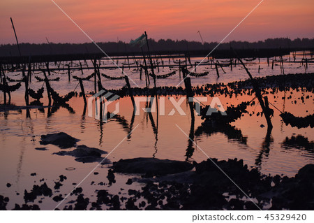 海濱般的Shibata Yu Yutaka Hajime Rei。 45329420