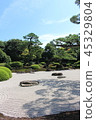 Japanese garden 45329804