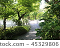 A garden 45329806